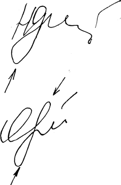 Петлеобразные штрихи в подписях